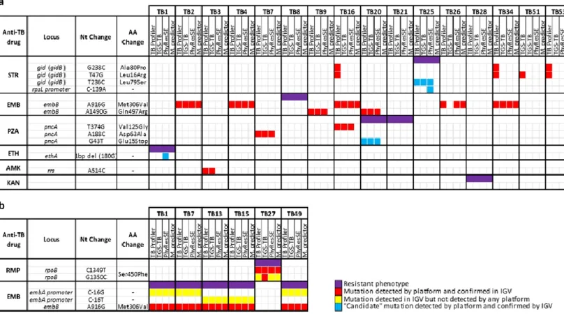 Figure 2.3. Detailed analysis of discrepancies between phenotypes and genotypes found for all 54 MDR- MDR-TB strains