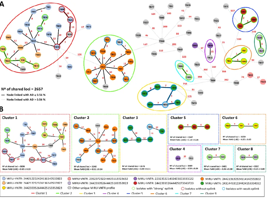 Figure 4.1. Phylogeny of 80 M/XDR- M/XDR-TB  strains  based  on  a  dynamic  gene-by-gene  approach  using  an  extended  schema  (3646  loci)