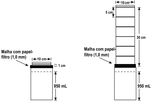 FIGURA 2. Representação esquemática das colunas usadas no estudo da lixiviação dos herbicidas glyphosate (1,0 cm) e imazapyr (30 cm).