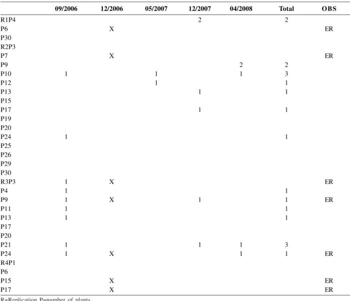 Table 1. Number of brooms per plant of the CEPEC 42 x SIC 19 family of 31 plants that clustered with SIC 19