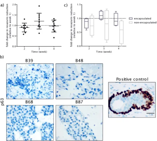 Figure  S2.2:  Encapsulated  BC  tissue  microstructures  do  not  present  myoepithelial markers and maintain high metabolic viability