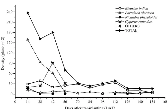 Figure  1.  Major  weed  species  and  total  weed  community  density  in  increasing  periods  of  weed  coexistence  with  the  eggplant cultivar Nápoli