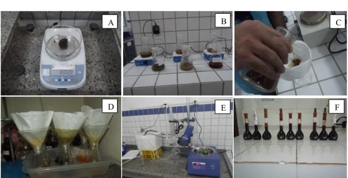 Figure  1.  A)  Weighing  the  crude  propolis;  B)  Removal  of  the  bioactive  substances  by  shaking  in  grain  alcohol;  C)  Filtration of the liquid phase; D) Filtered extracts; E) Concentration of the extracts in evaporator; F) Arrangement of the 