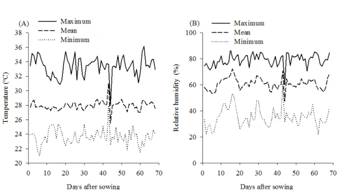 Figure 1. Temperature (A) and air relative humidity (B) during the experiment. 