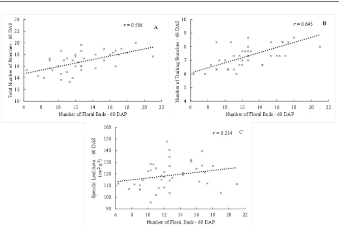 Figure  3. Significant correlations at 60 days after planting between the variables total number of branches and number of  floral buds (A), number of fruiting branches and number of floral buds (B), and specific leaf area and number of floral buds  (C).