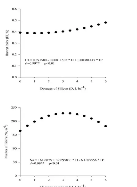 Figure 1. Harvest index for the first year (HI, %) (a) and number of tillers (Na, m -2 ) from different doses of silicon (L/ha) in  the second year (b).