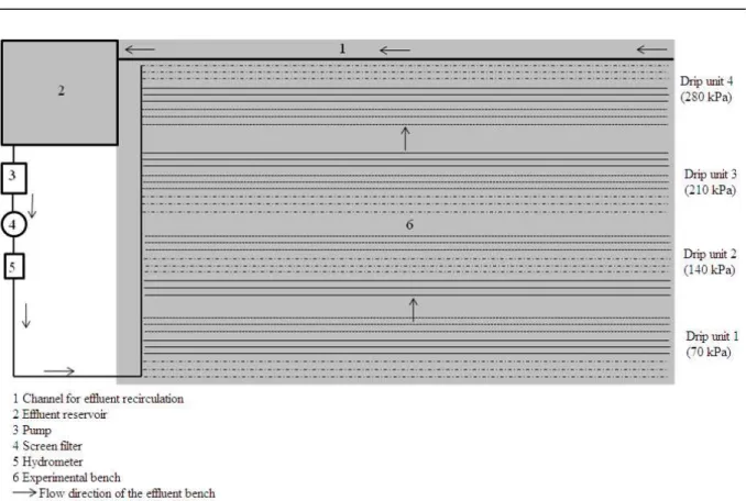 Figure 1. Scheme of the experimental bench built at the Water Reuse Experimental Unit (UERA), showing the  four drip units operating at the predetermined pressures.