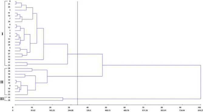 Figure  2. Dendrogram obtained using the UPGMA hierarchical clustering method, based on the dissimilarity matrix (D²)  for 35 silk flower (Calotropis procera (Aiton) WT Aiton) genotypes