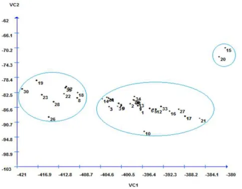 Figure  3  shows  the  spread  of  the  35  genotypes, based on the first two canonical variables