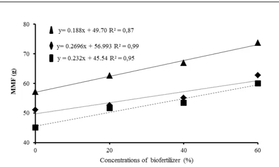 Figure 1.  Fruit mass by “Roxo de Valinhos” fig  according to the biofertilizer concentrations applied to the soil during the  first (   ), second ( ♦ ) and third cycle (     )