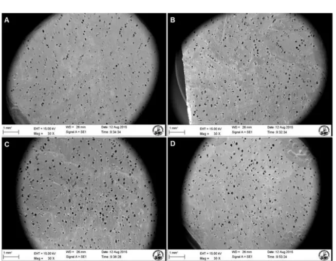 Figure  2. Eucalyptus grandis W. Hill ex Maiden control surface area (A), treatment at  - 20°C (B), treatment at 60°C (C),  and treatment at 100°C (D), after 15 exposure hours.