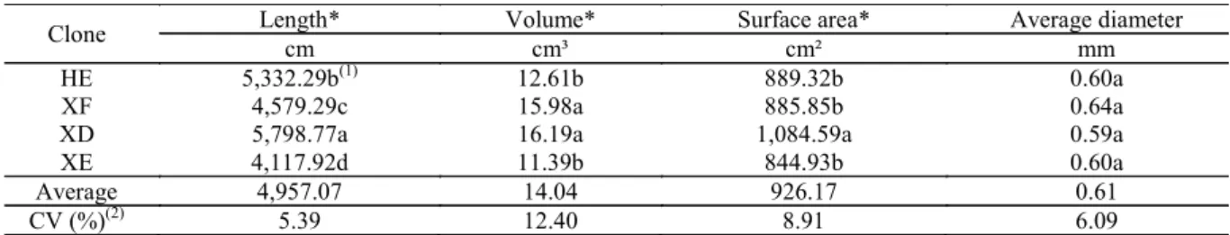 Table 1. Average values of the variables of root morphology for four Australian cedar clones
