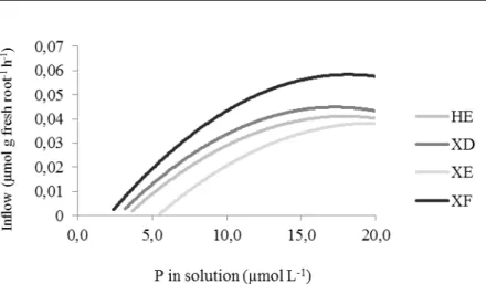 Figure  2. Estimated inflows as a function of P concentration for four Australian  cedar clones 