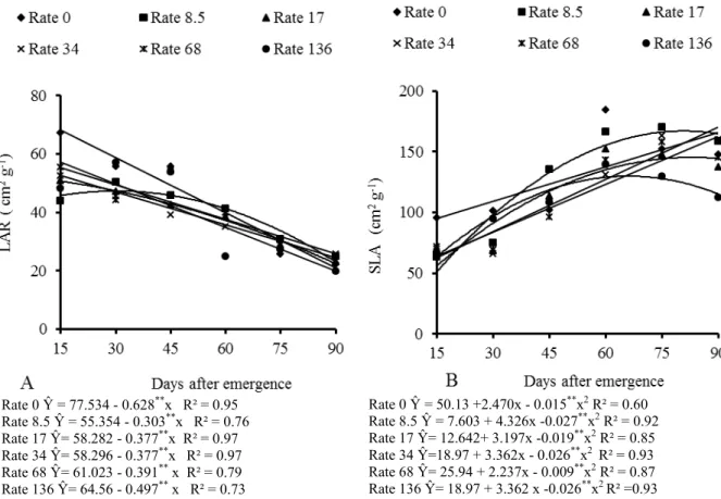 Figure  2. Leaf area ratio (LAR) and specific leaf area (SLA) of sunflower grown on soil fertilized with different rates of  cassava wastewater, in different evaluation times