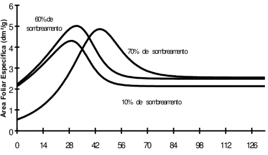 FIGURA 2. Área Foliar Específica sob três níveis de sombreamento 10% , 60% e 70% .