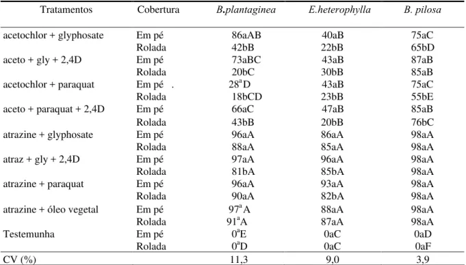 TABELA 1. Porcentagem de controle de B. plantaginea , E. heterophylla e B. pilosa aos 47 dias após a semeadura do milho com cobertura vegetal em pé e rolada 1 .