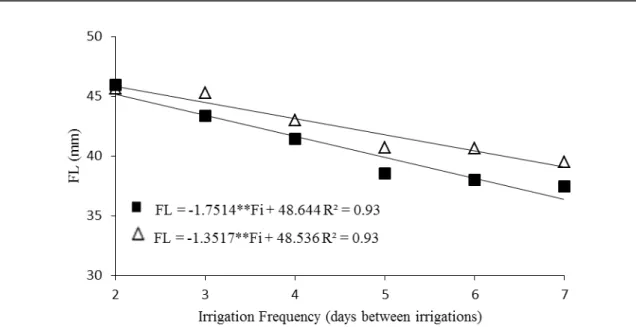 Figure  2. Fruit length (FL) of tomatoes as a function of irrigation frequency. Fortaleza, State of Ceará, Brazil