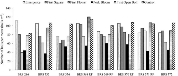 Figure 1. Number of bolls per meter for upland cotton cultivars as a function of water deficit applied at different stages of  the crop cycle.