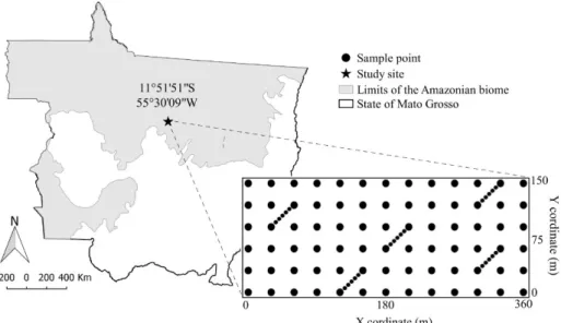 Figure 1. Identification of the study site in southern Amazonia, State of Mato Grosso; sampling scheme