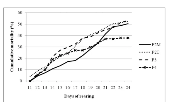 Figure 1. Cumulative mortality of pacamã juveniles during the second experimental phase (11 to 25 days of active feeding)  under different feeding frequencies.