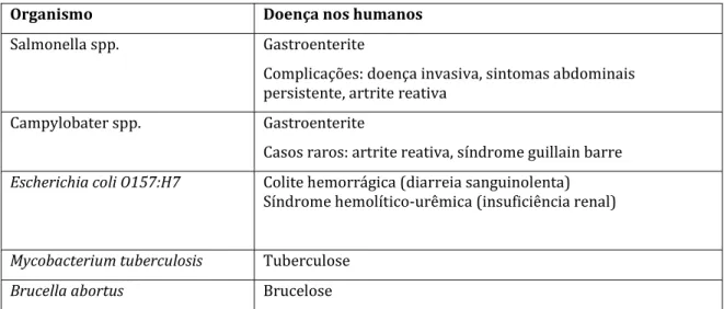 Tabela 4 – Agentes patogénicos que podem surgir no leite cru e que apresentam riscos para a saúde humana