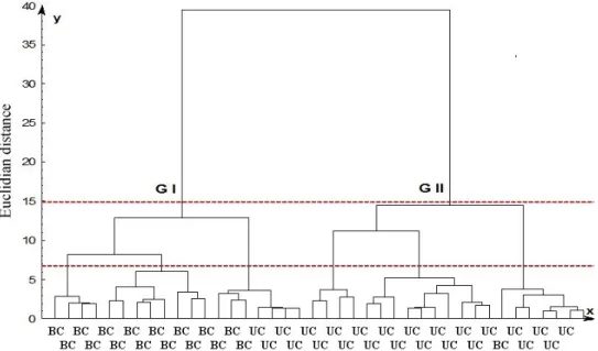 Figure  2.  Dendrogram  of  the  identified  groups  (GI  and  GII)  based  on  cluster  analysis  using  soil  properties  in  both  management systems (unburned cane  -  UC, burned cane  -  BC) at a depth range of 0.0 to 0.20 m; FCO 2  (CO 2  emission); 