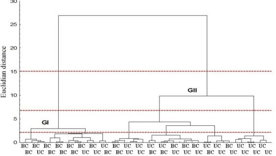 Figure  3.  Dendrogram  of  the  identified  groups  (GI  and  GII)  based  on  cluster  analysis  using  soil  properties  in  both  management  systems  (unburned  cane  -   UC,  burned  cane  -   BC)  at  a  depth  range  of  0.0  to  0.20  m:  MS ADFE 