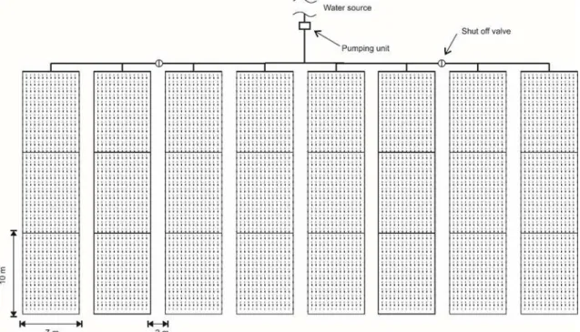 Figure 1. Schematic design of the experimental area and irrigation system.