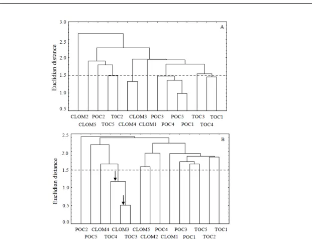 Figure 1. TOC and CLOM and POC similarities in the different soil depths, sampled in the native forest (A) and sugarcane  crop  (B)  areas,  established  by  the  Euclidean  distance