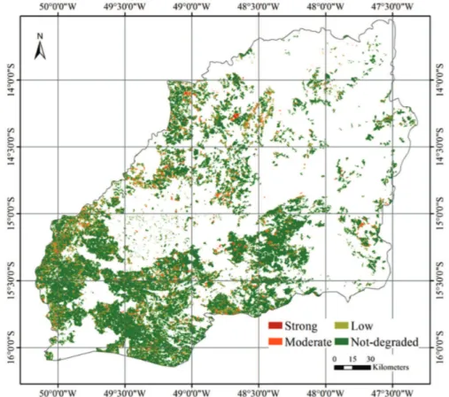 Figure 2: Degradation indicative classes of planted pastures areas in Upper Tocantins River basin in the State of Goiás.