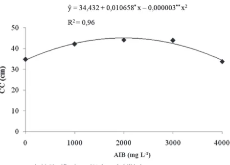 Figura 2: Comprimento dos cladódios (CC) (cm) em função da concentração de AIB no substrato areia.