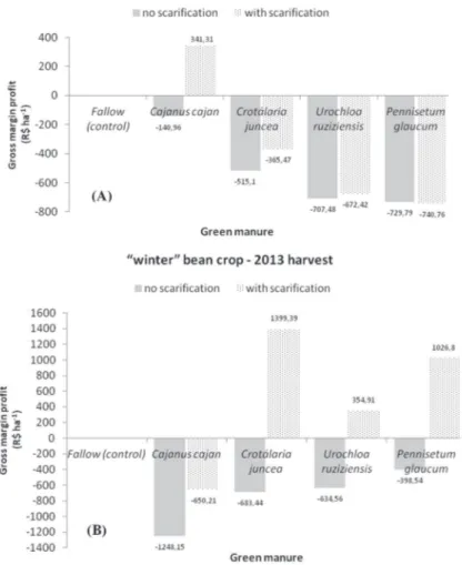 Figure 1. Gross profit margin (R$ ha -1 ), in the previous cultivations of green manure in spring and soil mechanical decompactation in upland rice (A) and “winter” beans (B), under sprinkler irragation in a non-tillage system established 12 years ago in t