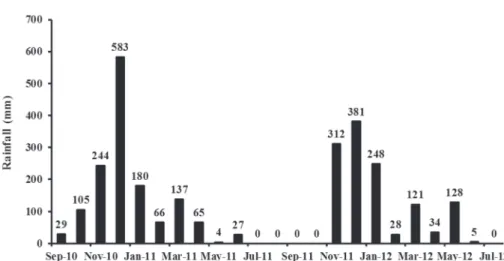 Figure 2: Yield of total corms (A) and mother corms (B) of