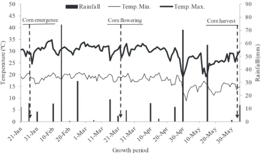Figure 1: Rainfall (mm), maximum and minimum temperature (ºC), every ten days from January to June in 2012, on corn intercropped or not with U