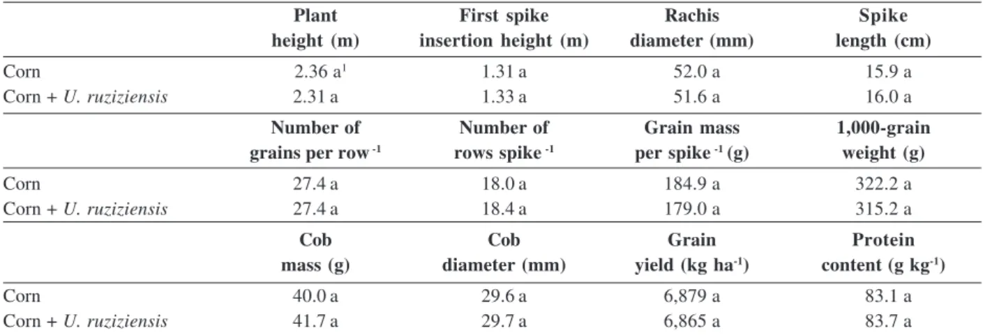 Table 2: Corn parameters as affected by different crop systems. Jaboticabal, SP. 2012