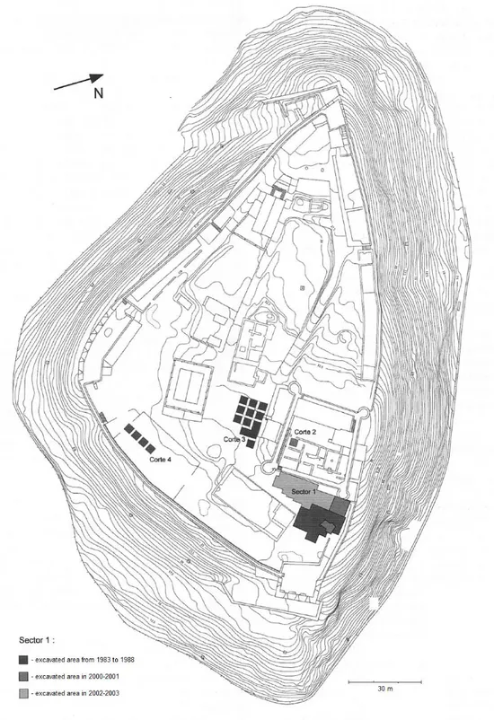 Fig. 1.3 – The topographic plan of the castle and excavated areas (after Arruda et al