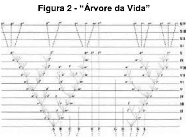 Figura 2 -  “Árvore da Vida”
