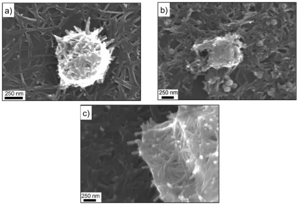 Figure 3.1 SEM micrographs of the samples prepared at a) 130 and b) 150 ºC for 48  h and c) 150 ºC for 72 h with anatase-TiO 2 /NaOH molar ratio of 0.05