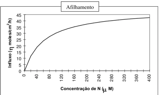 FIGURA 2. Influxo de nitrogênio pela cv. BR-IRGA 410 e por dois ecótipos de arroz vermelho em solução nutritiva, avaliado (A) no afilhamento (média dos três genótipos no experimento 1) e (B) no início de desenvolvimento da panícula (experimento 2), Porto A