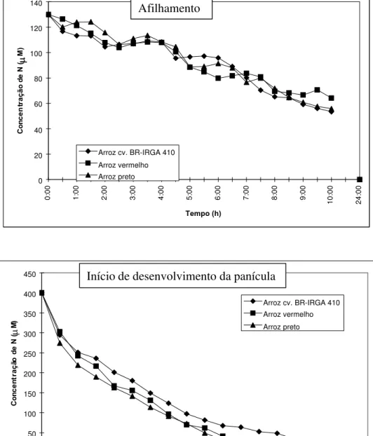 FIGURA 1. Depleção de nitrogênio pela cv. BR-IRGA 410 e por dois ecótipos de arroz vermelho em solução nutritiva, avaliada (A) no afilhamento (experimento 1) e (B) no início de desenvolvimento da panícula (experimento 2), Porto Alegre, RS, 1997.