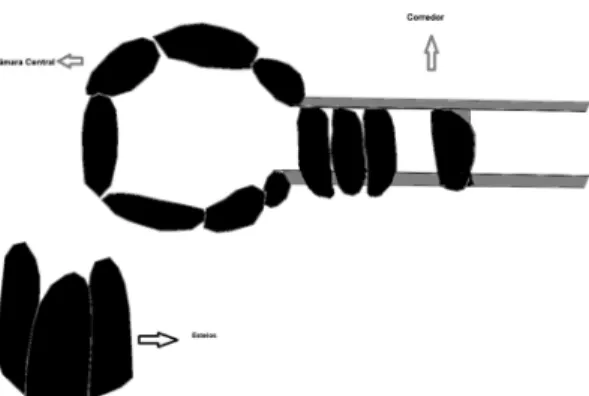 Fig. 1.  A schematic plant of a dolmen. With camera and  corridor.