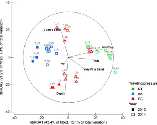 Figure  3.  Distance-based  redundancy  (dbRDA)  plot  illustrating  the  relation  of  the  macrofaunal  assemblages  and  the  fitted  environmental  variables