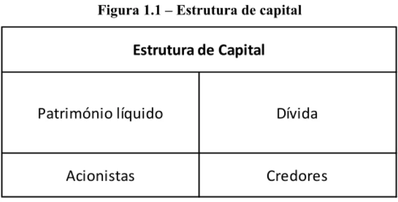 Figura 1.1  –  Estrutura de capital 