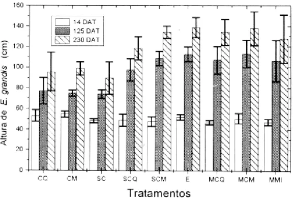 FIGURA 1. Efeito das diferentes condições de convivência, simulação de controle e da cobertura morta de B decumbens sobre a altura de E.grandis.