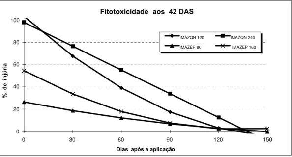 FIGURA 1. Fitotoxicidade visual observada nas plantas de milho aos 42 DAS, em função dos diferentes intervalos entre a aplicação dos herbicidas imazaquin (IMAZQN) e imazethapyr (IMAZEP) e a semeadura do milho.