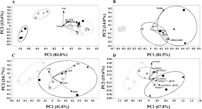 Fig. 5. Principal component analysis (PCA) for discriminating drought responses and genotype differences