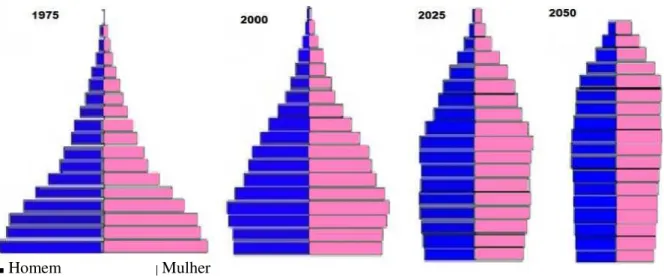 Gráfico 2 - Evolução da Pirâmide Etária no Brasil 