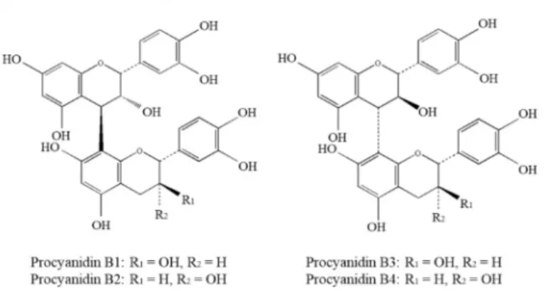Figure 1.5. Structure of some procyanidins (A) and basic structure of hydrolysable tannins (B).