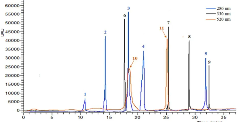 Figure 3.1. Representative chromatogram of phenolic compounds identified in grape stem extracts at 280, 330,  and  520 nm