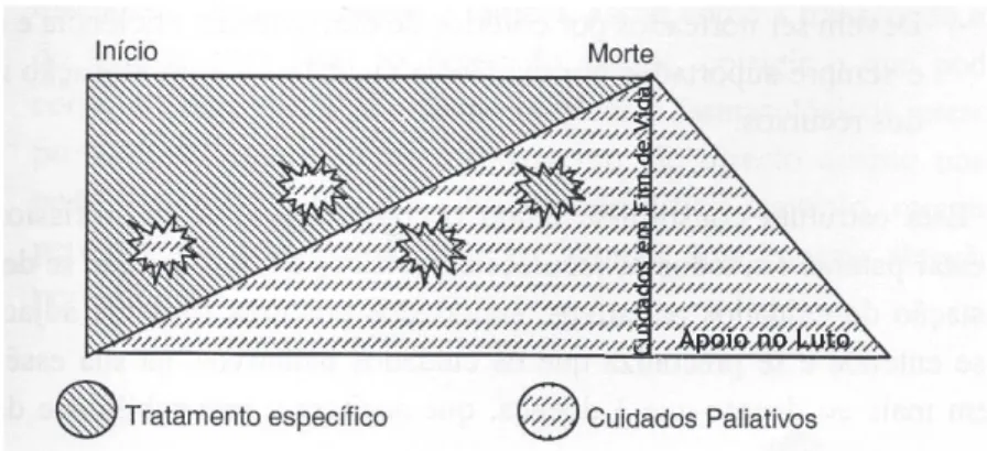 Figura 1 – Modelo Cooperativo com intervenção nas crises, adaptado de Capelas e Neto  (19)